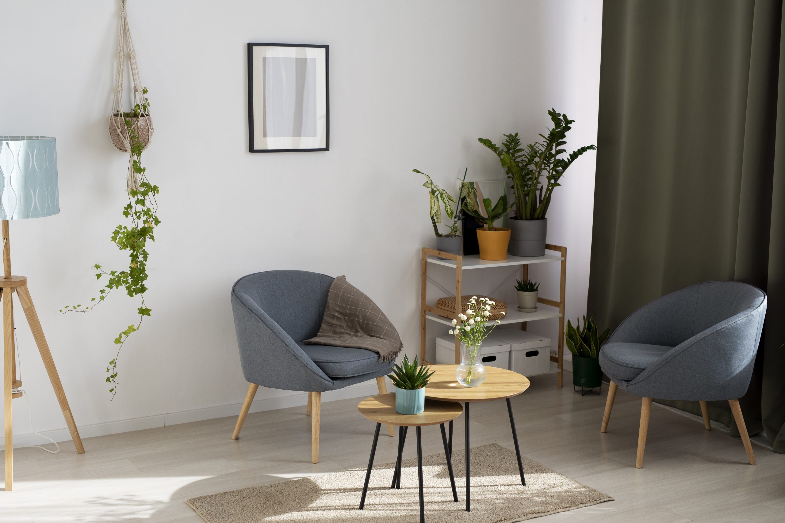 beautiful-home-with-healthy-green-plants beautiful-home-with-healthy-green-plants